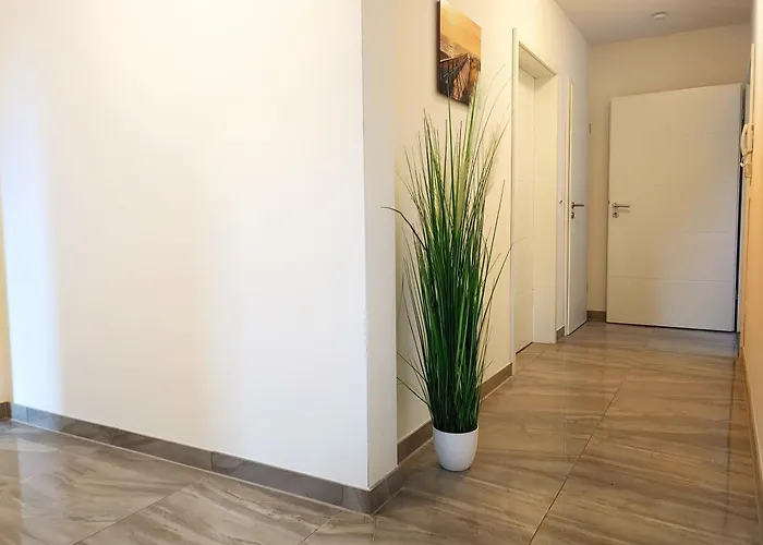 Witte Hus For 6 Guests With 3 Appartamento